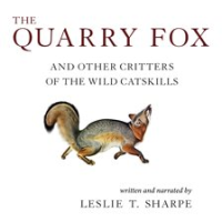 The_Quarry_Fox